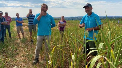 « L’objectif de cette plateforme est de comparer une diversité d’espèces à implanter après la récolte du seigle », explique Martin Lechenet (au premier plan, à g.), en compagnie de Jean-Baptiste Martinien (à dr.), tous deux du service technique de Dijon céréales. © L. PETIT